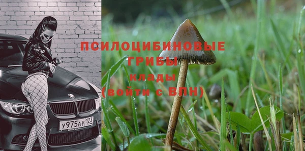 PSILOCYBIN Нея