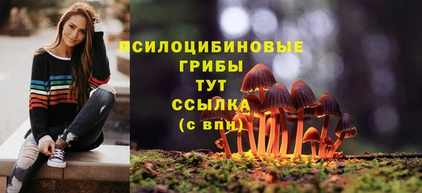 PSILOCYBIN Нея